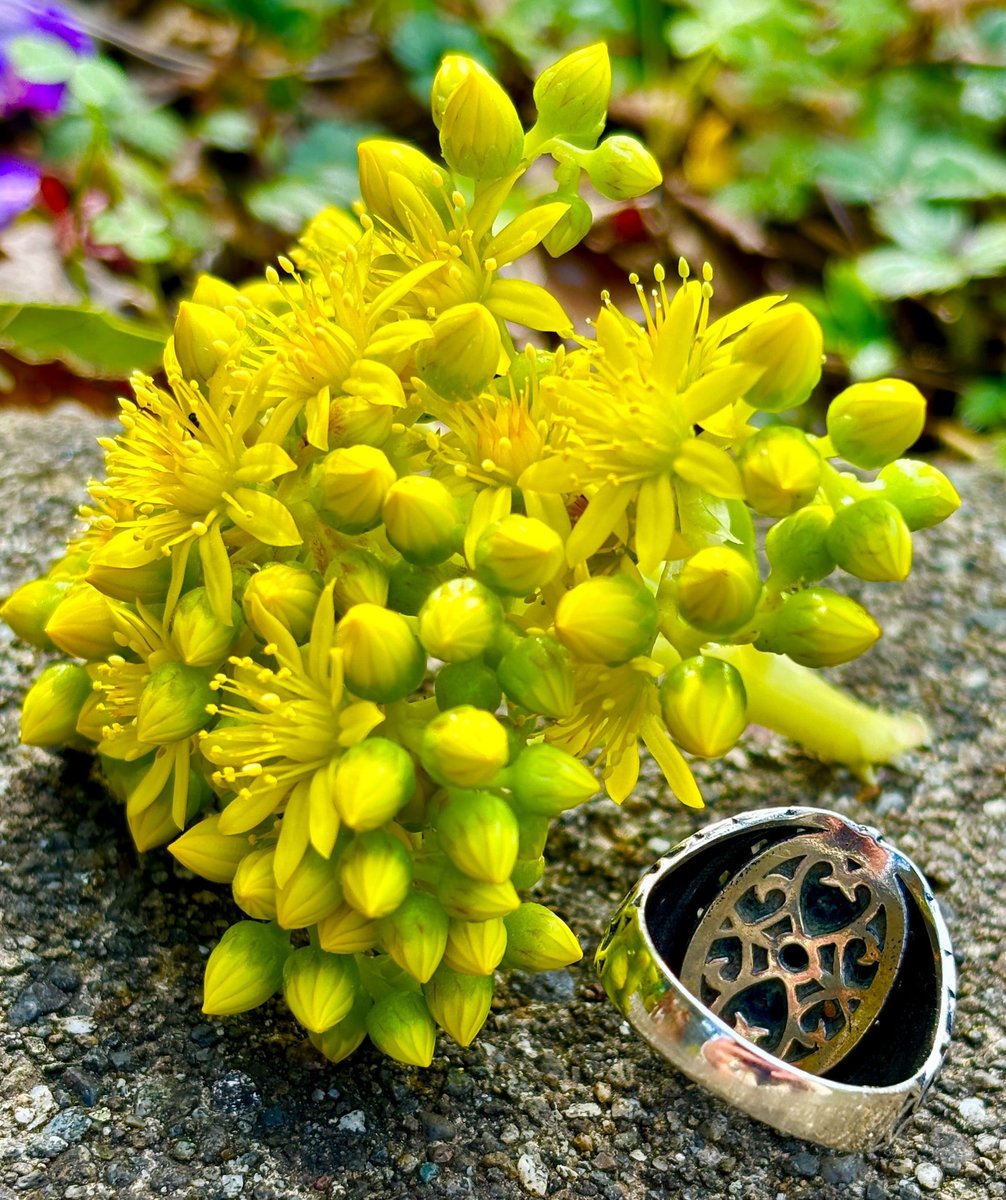 Tiger’s Eye Ring